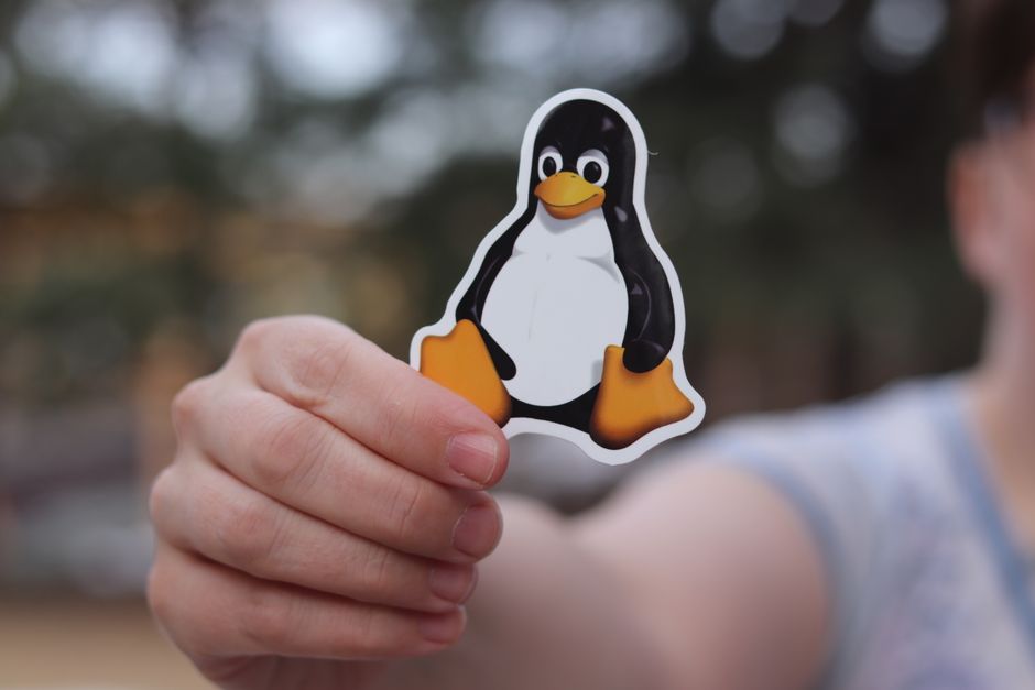 The Beginner's Guide to Automated File Organization