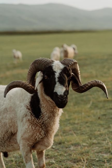 What Is RAM and Why Does It Matter for PC Performance?